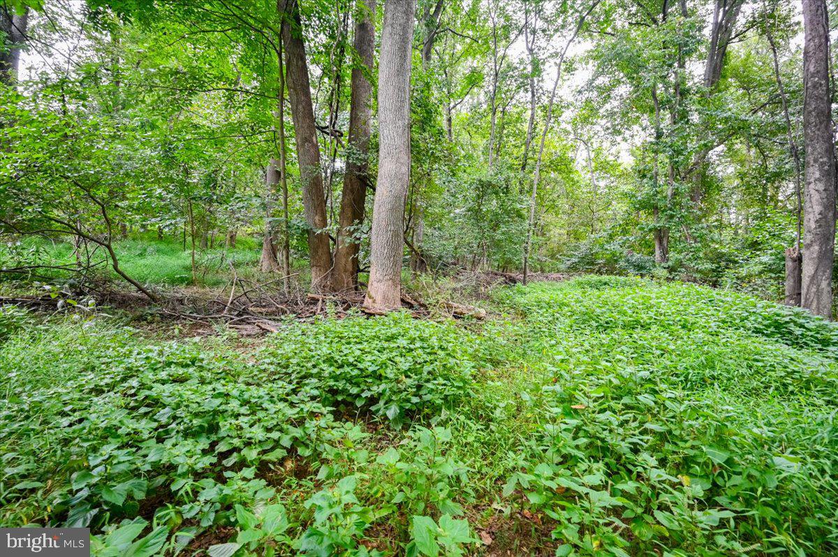 360 Foothill Ln Property Photo 54