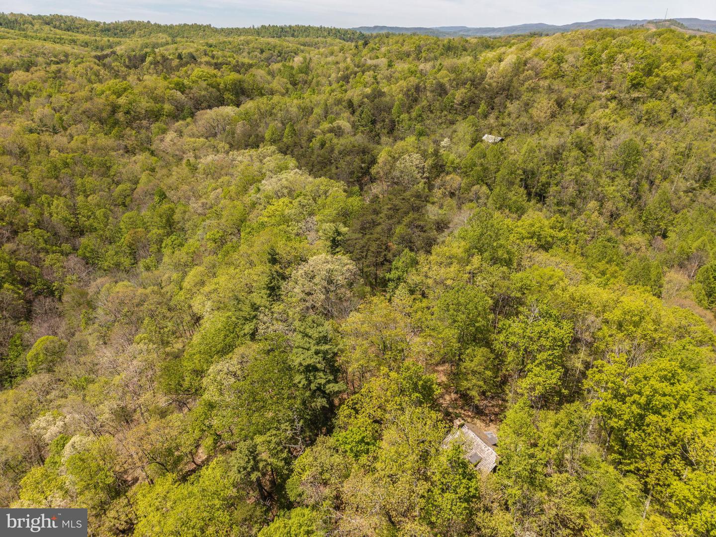 Wayside Creamery Rd Property Photo 11