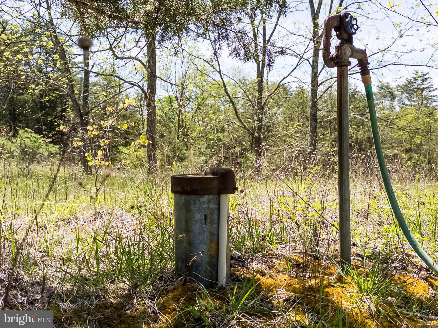 Wayside Creamery Rd Property Photo 13
