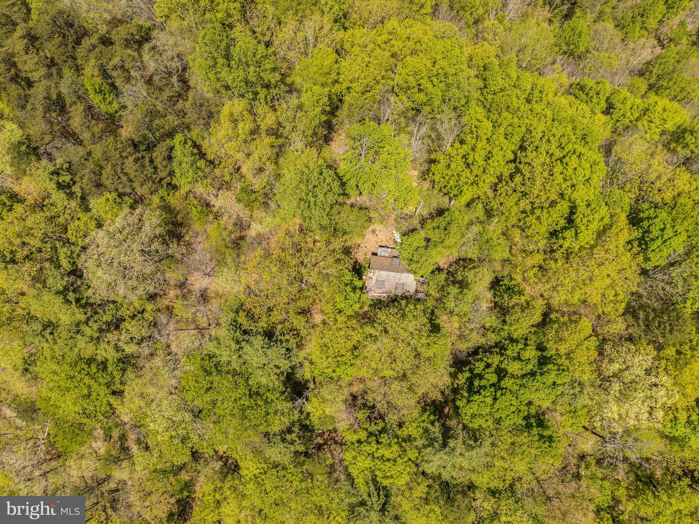 Wayside Creamery Rd Property Photo 15