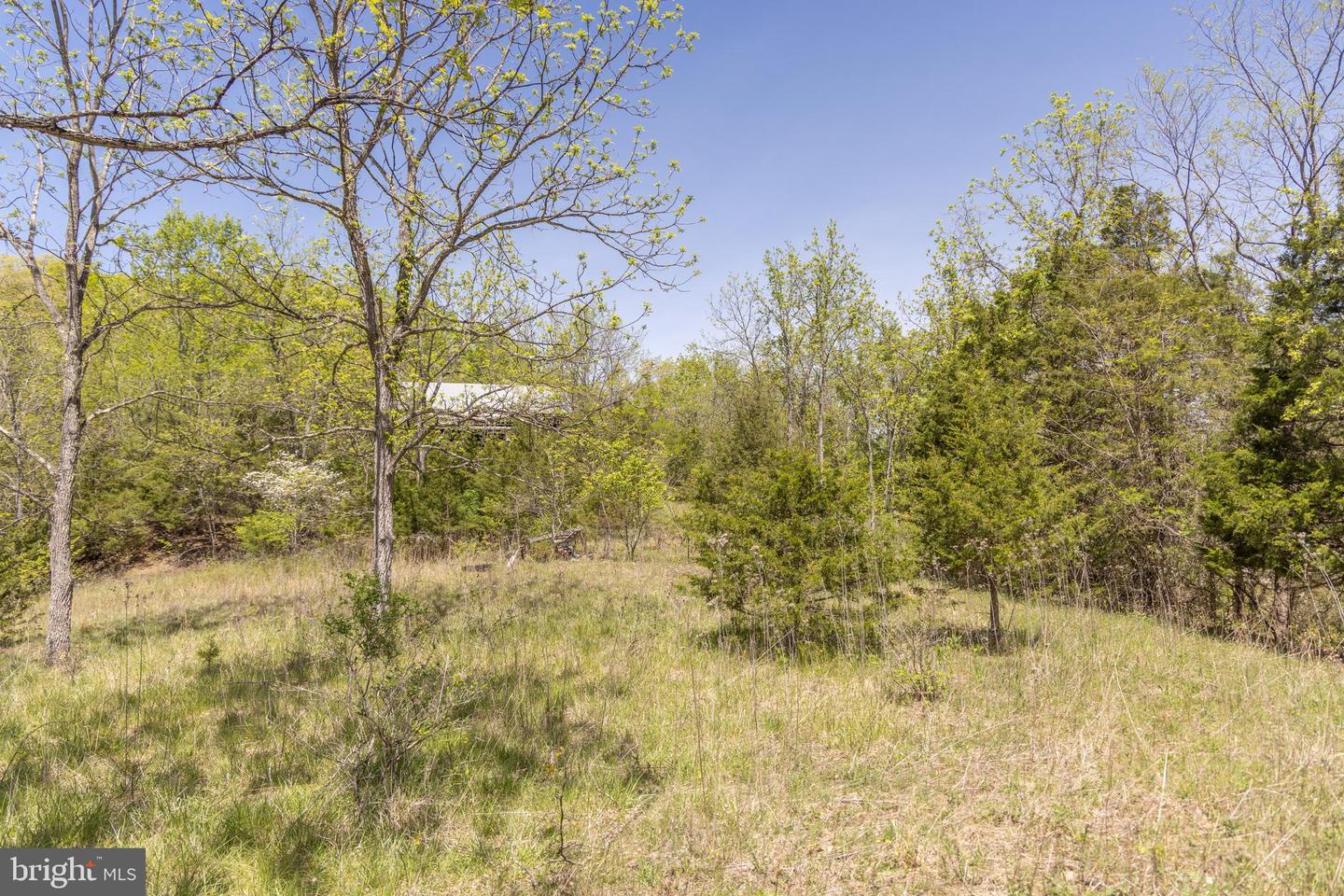 Wayside Creamery Rd Property Photo 17