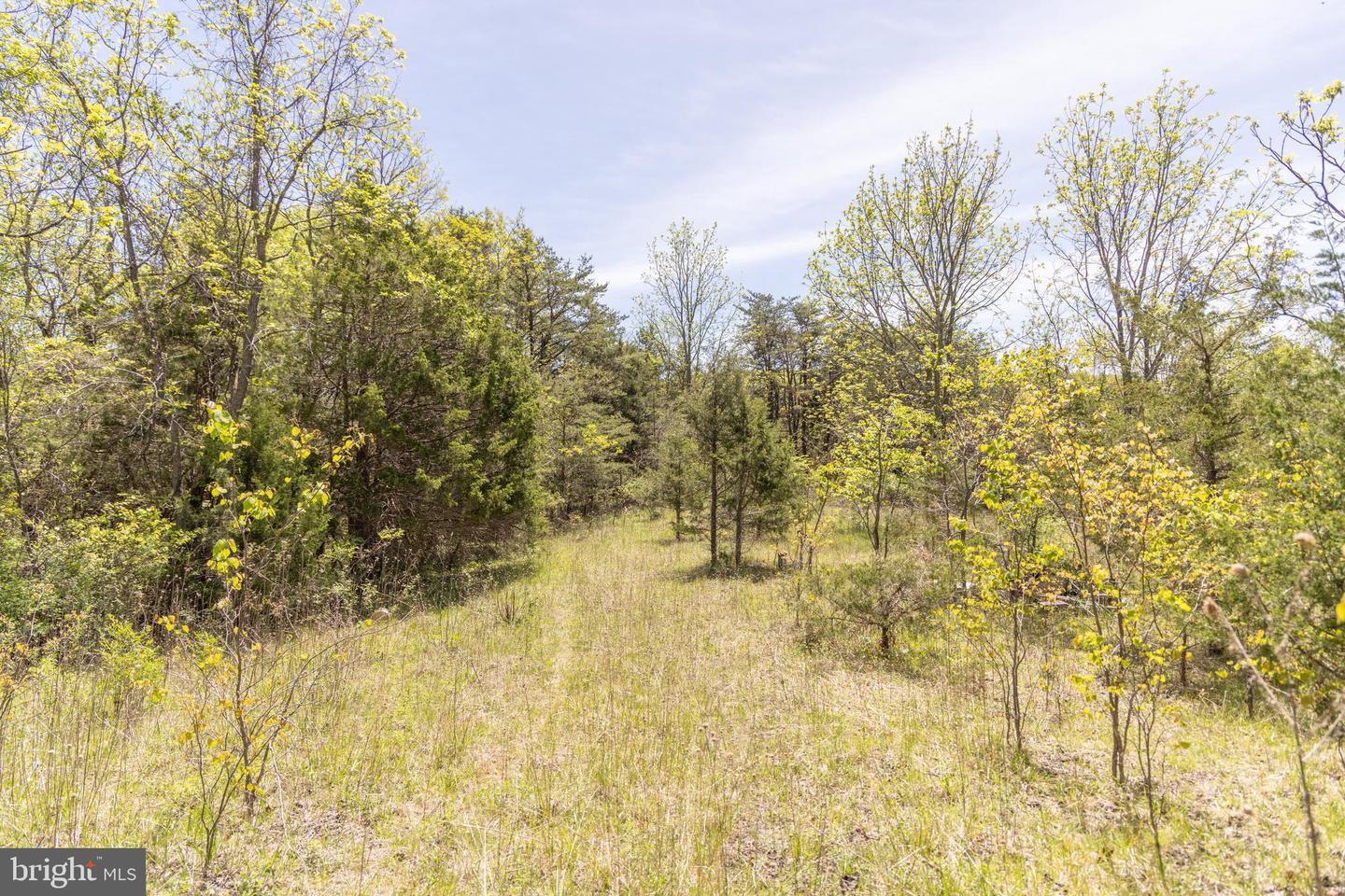 Wayside Creamery Rd Property Photo 18