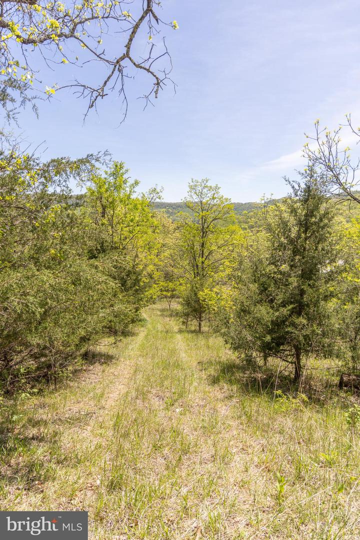 Wayside Creamery Rd Property Photo 21