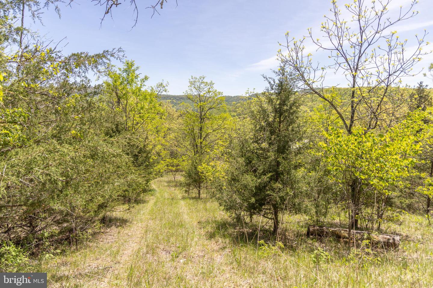 Wayside Creamery Rd Property Photo 22