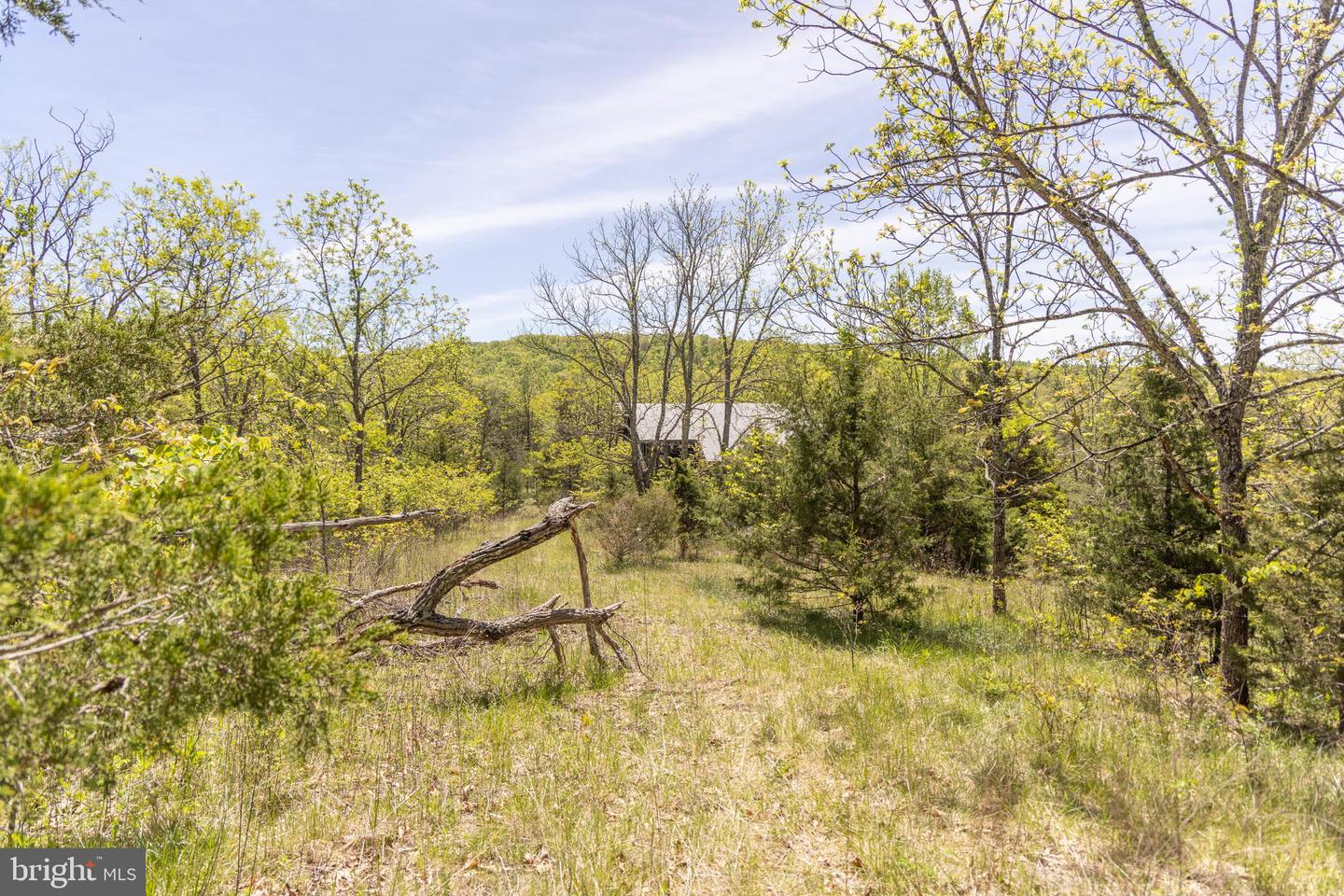 Wayside Creamery Rd Property Photo 24