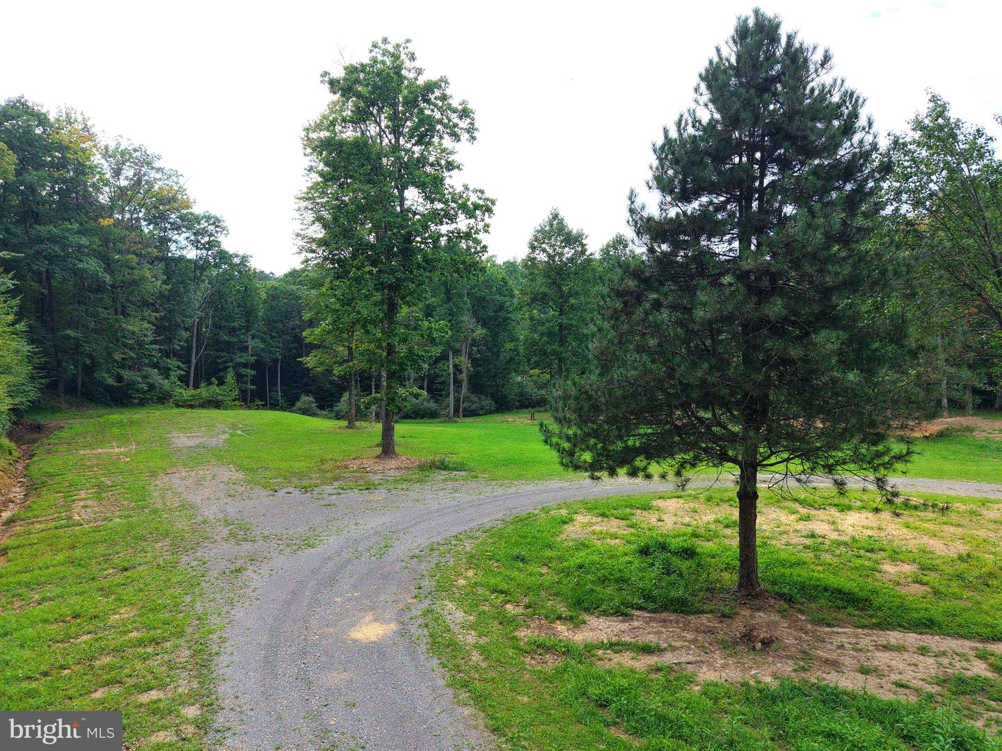 1702 Snake Hill Rd Property Photo 18