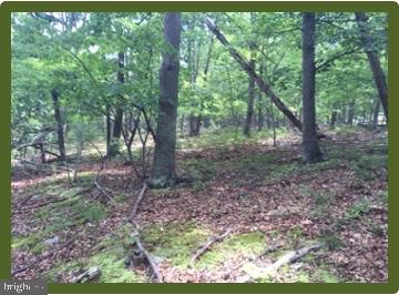 Off Rt. 220/cut Off Property Photo 1