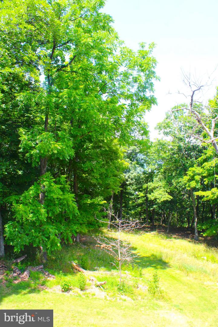 353 Overlook Ter Property Photo 31