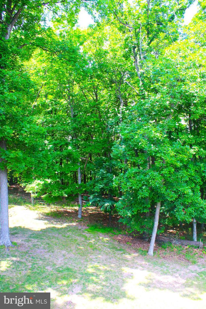 353 Overlook Ter Property Photo 32