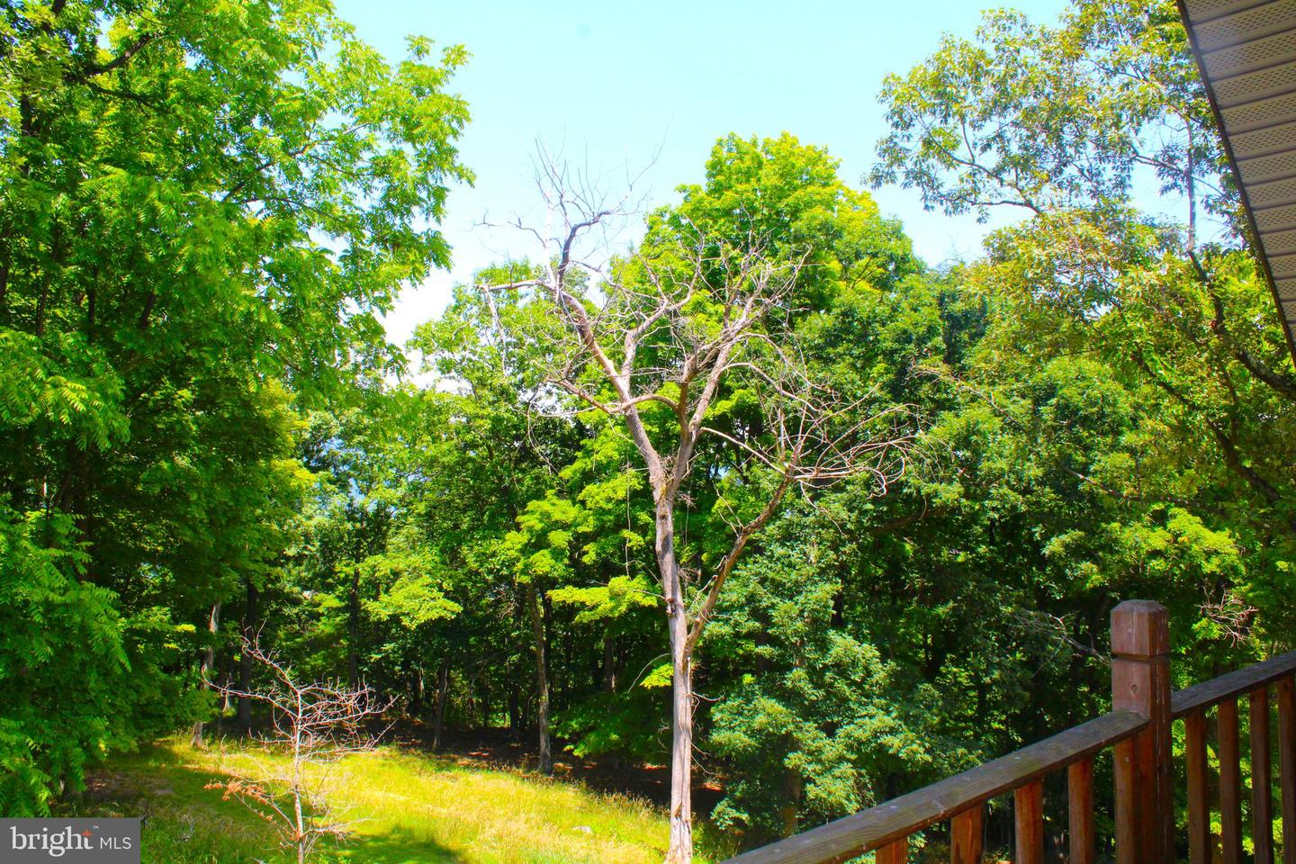 353 Overlook Ter Property Photo 33