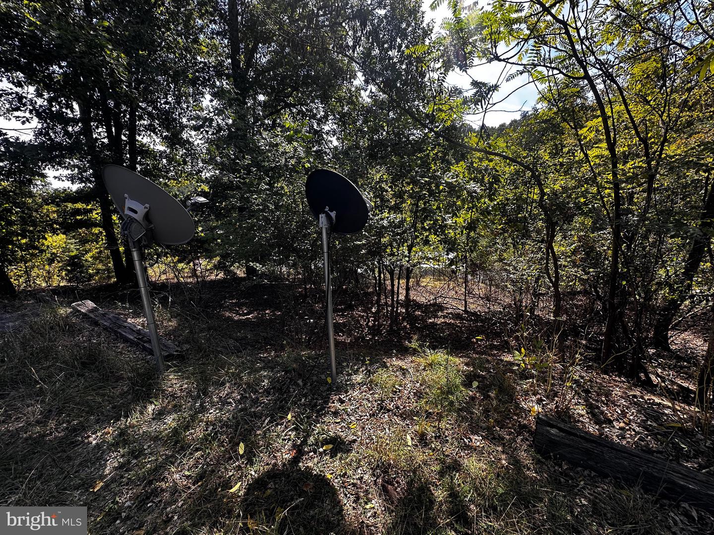 8523 Frankfort Hwy Property Photo 13