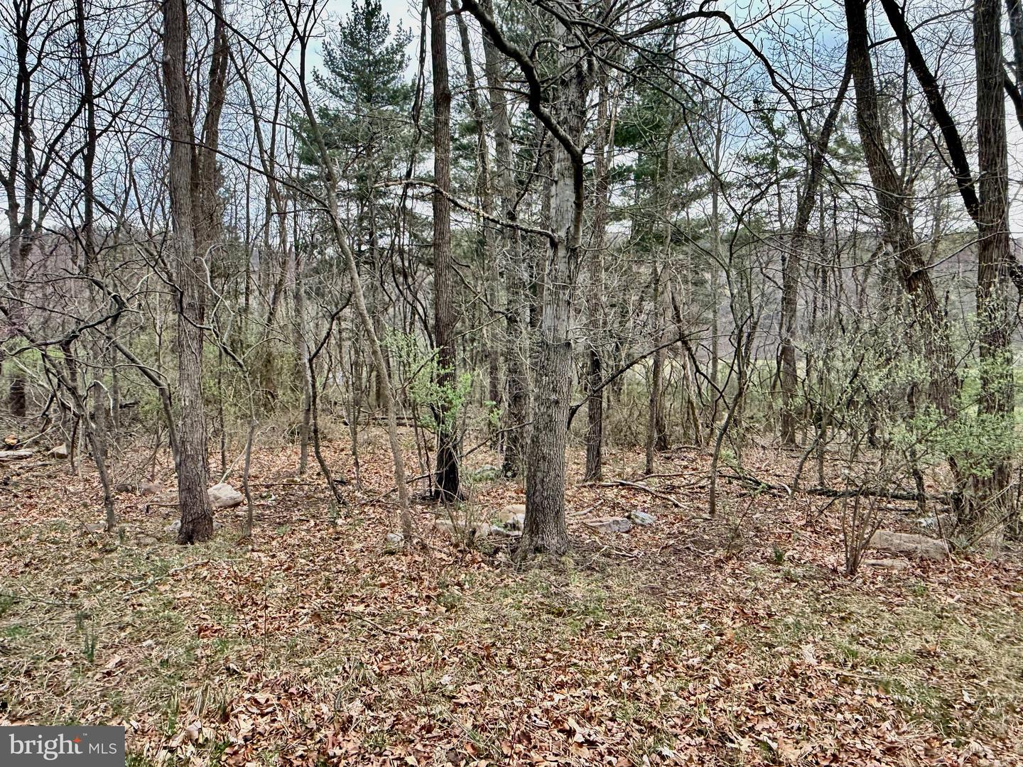 Timberlake Estates - Lot 2 Property Photo 1