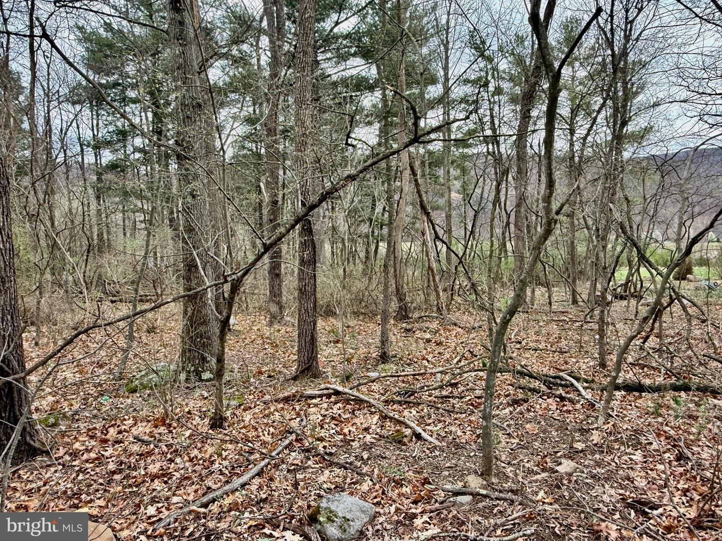 Timberlake Estates - Lot 2 Property Photo 5