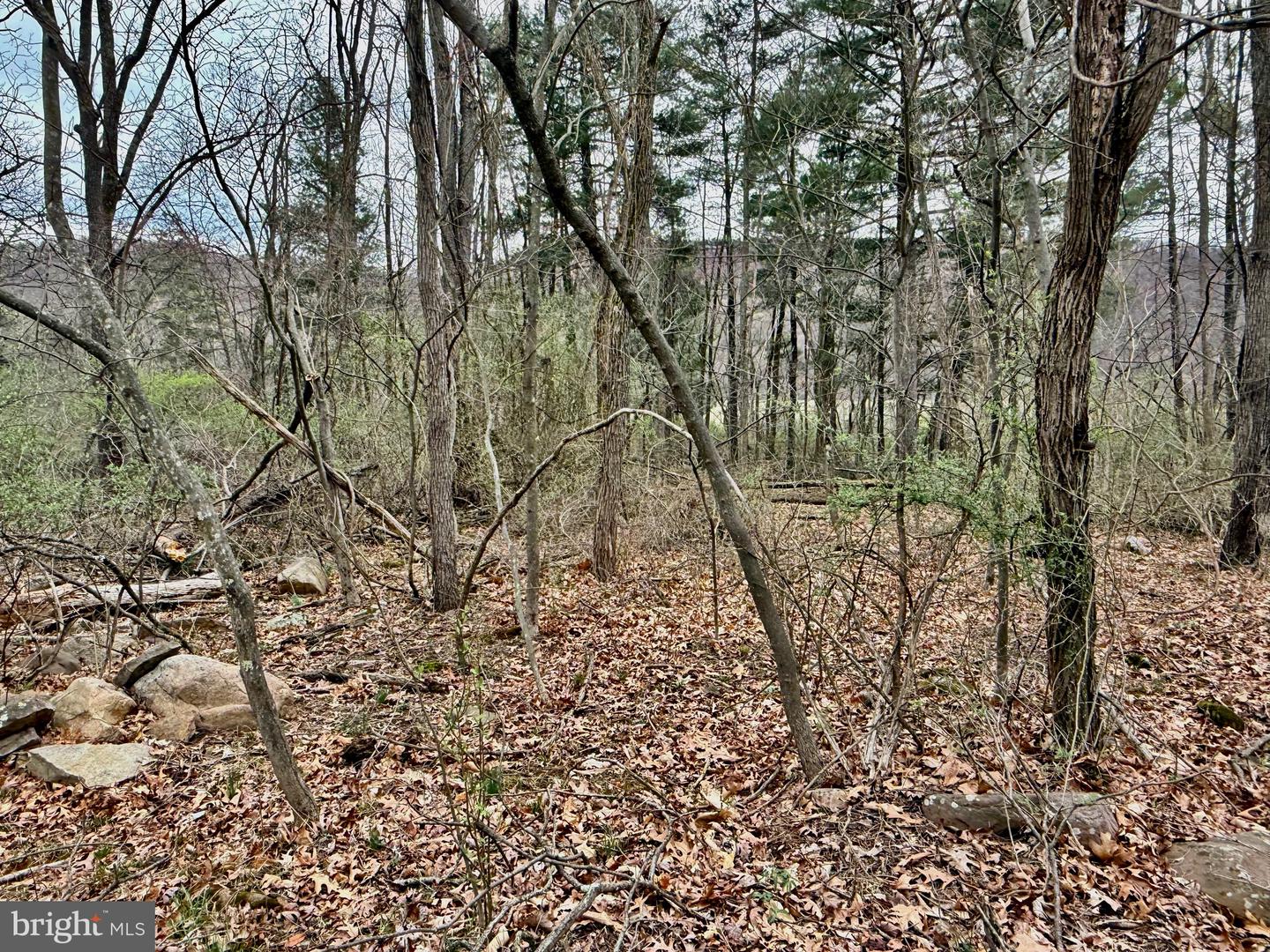 Timberlake Estates - Lot 2 Property Photo 6