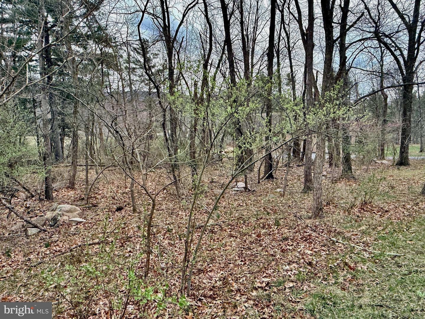 Timberlake Estates - Lot 2 Property Photo 7