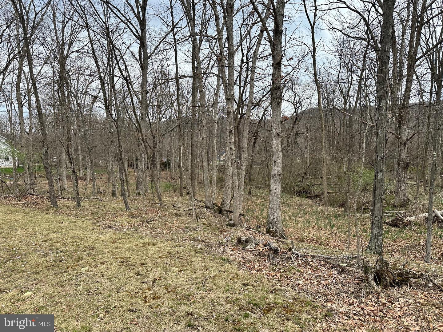 Timberlake Estates - Lot 24 Property Photo 2