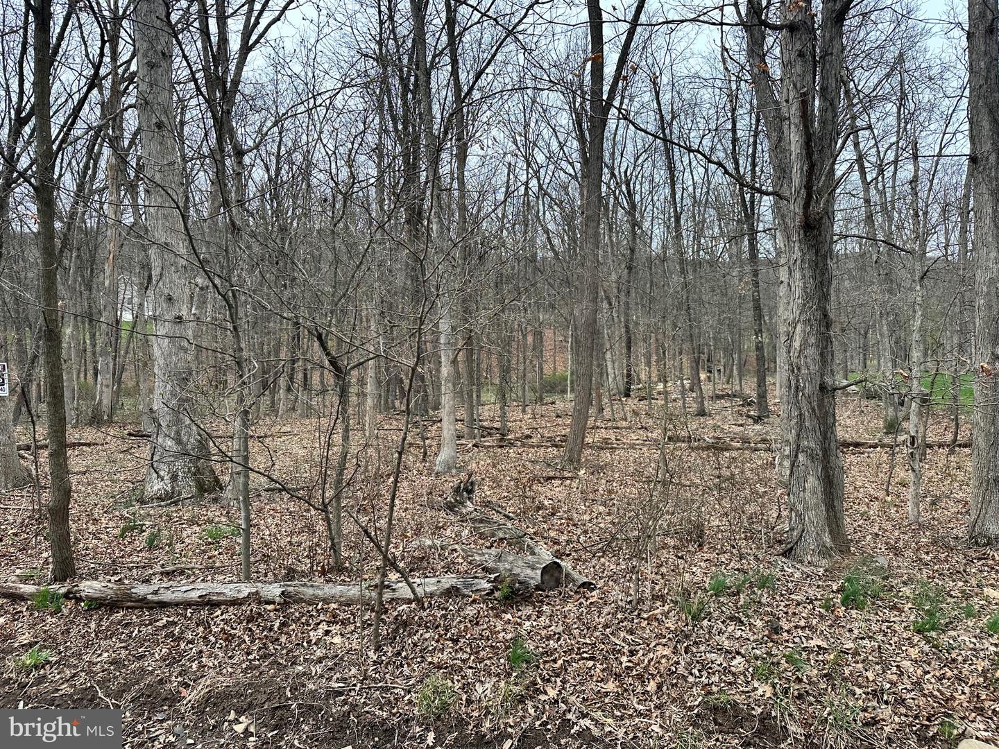 Timberlake Estates - Lot 24 Property Photo 3