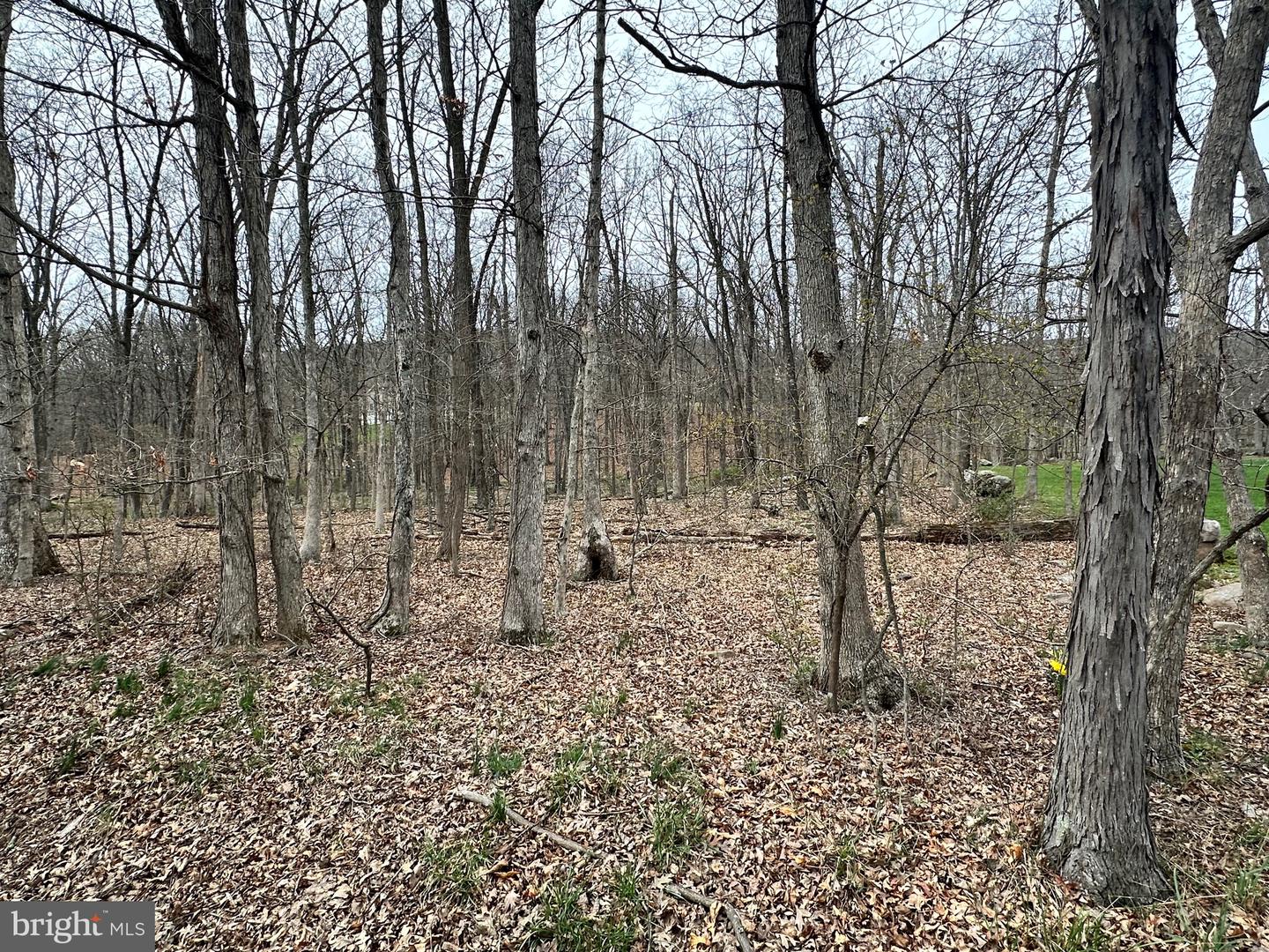 Timberlake Estates - Lot 24 Property Photo 4