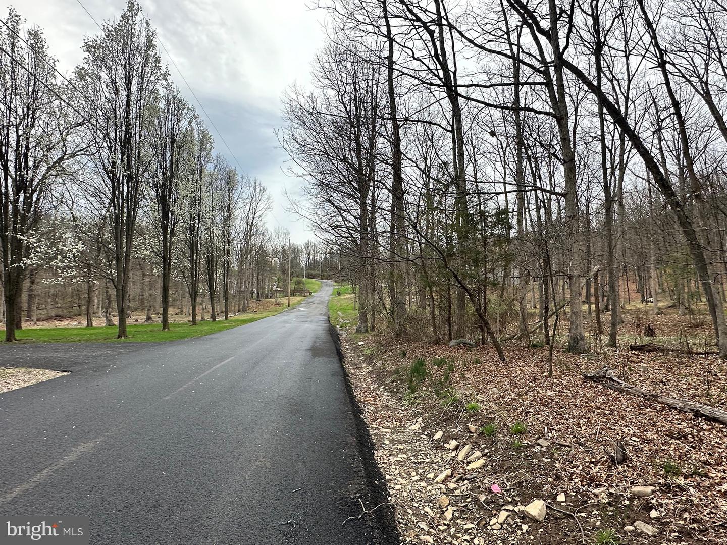 Timberlake Estates - Lot 24 Property Photo 6