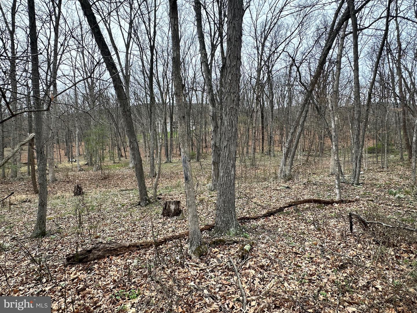 Timberlake Estates - Lot 24 Property Photo 7