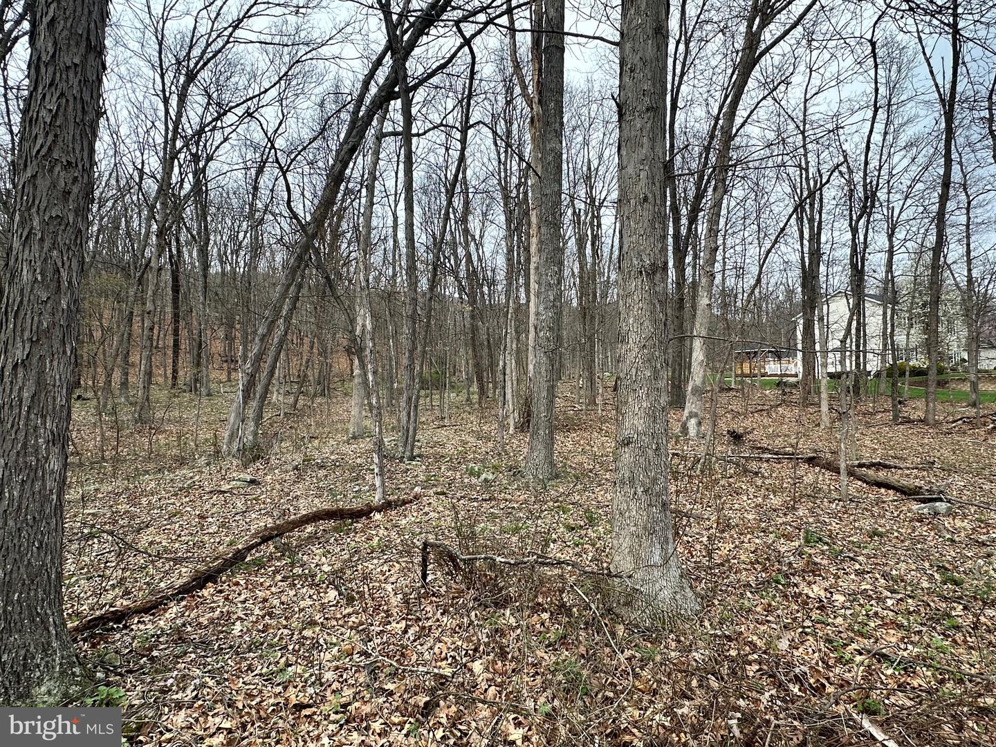 Timberlake Estates - Lot 24 Property Photo 8