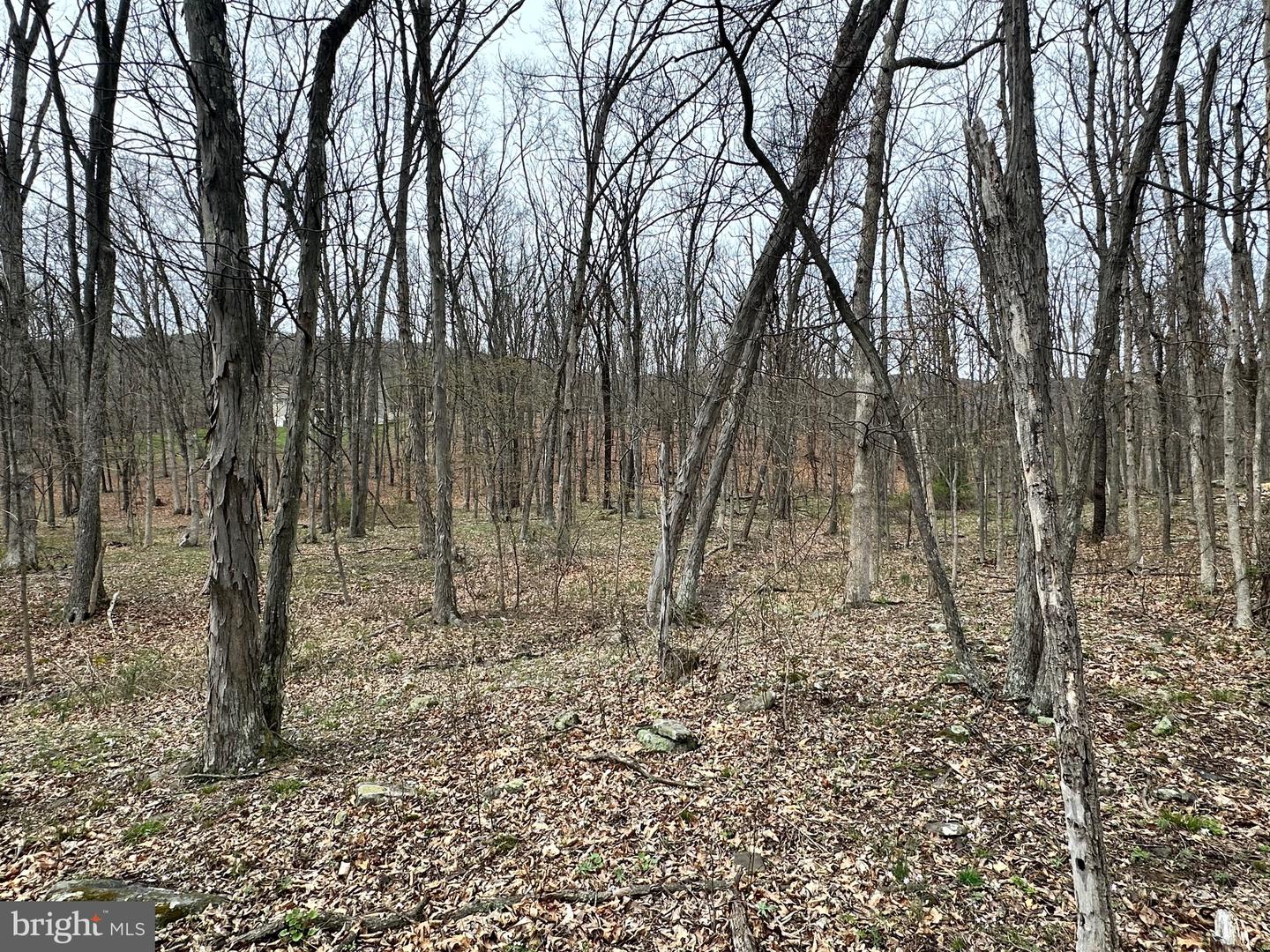 Timberlake Estates - Lot 24 Property Photo 10