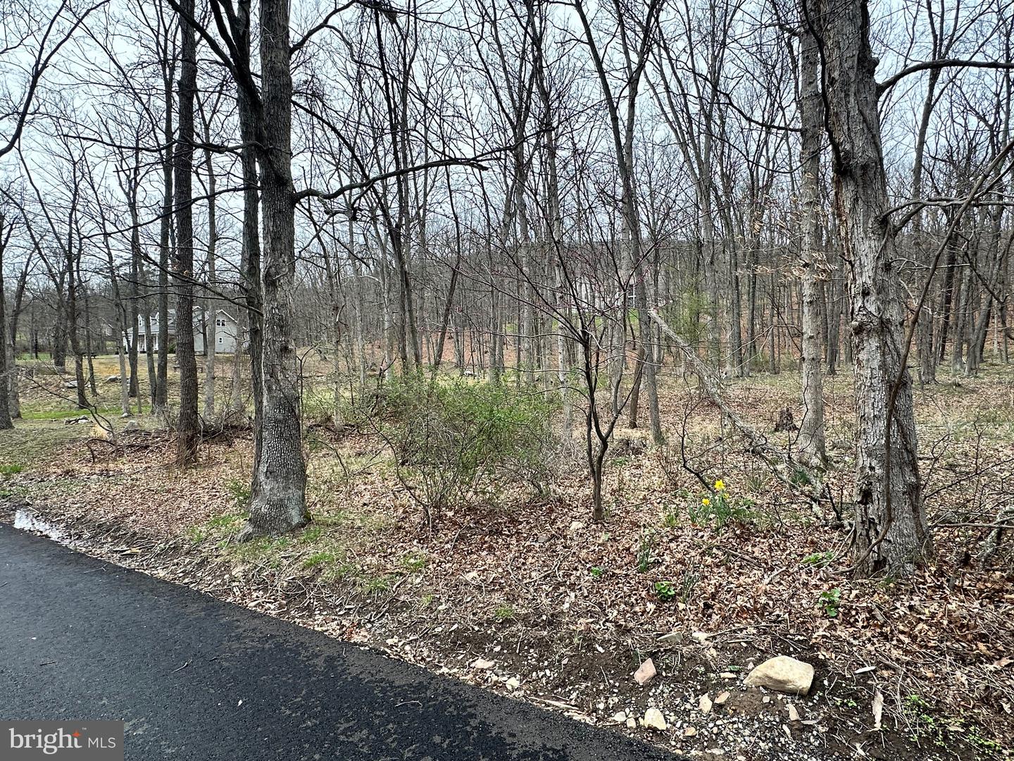 Timberlake Estates - Lot 24 Property Photo 11