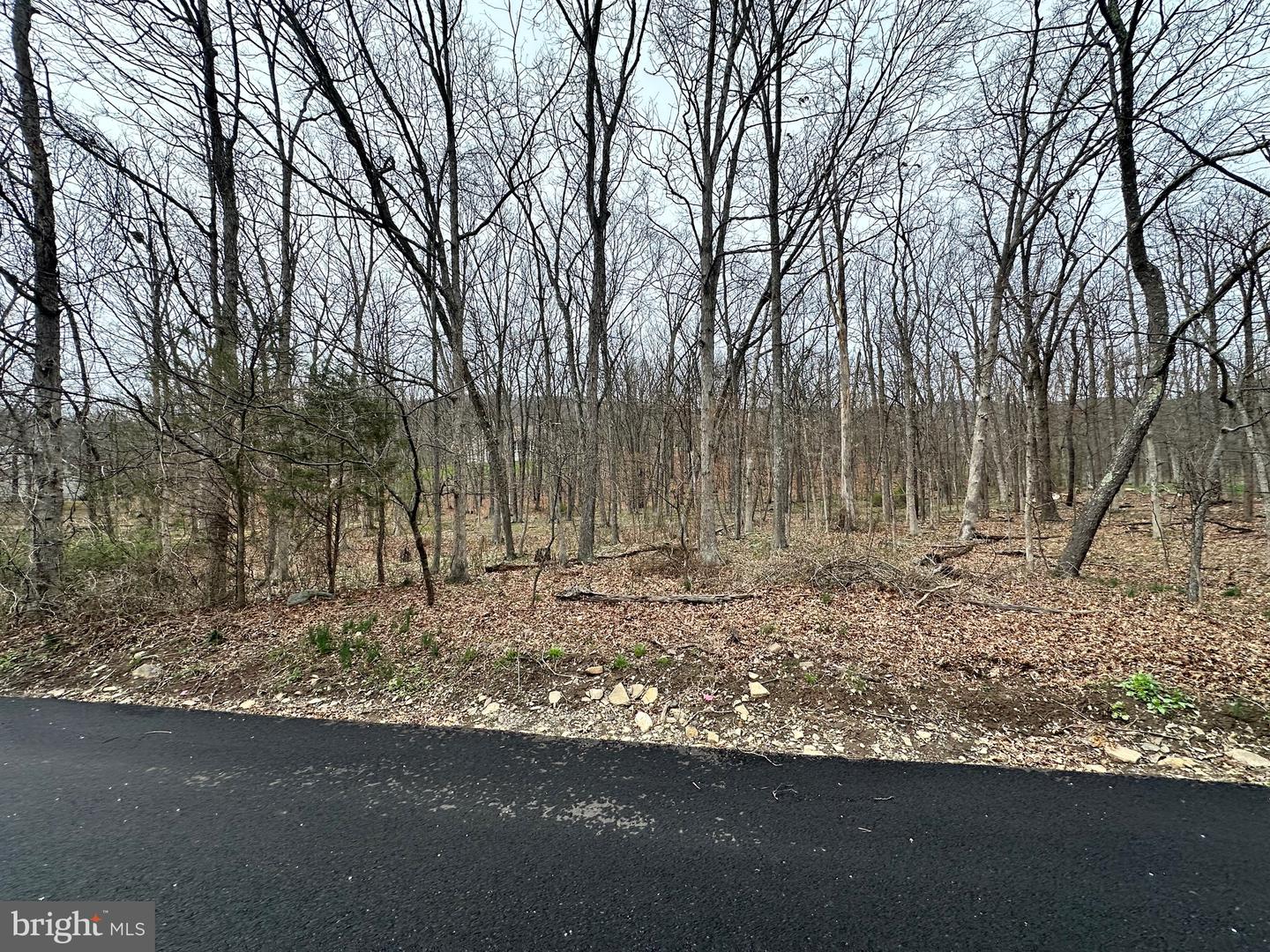 Timberlake Estates - Lot 24 Property Photo 12