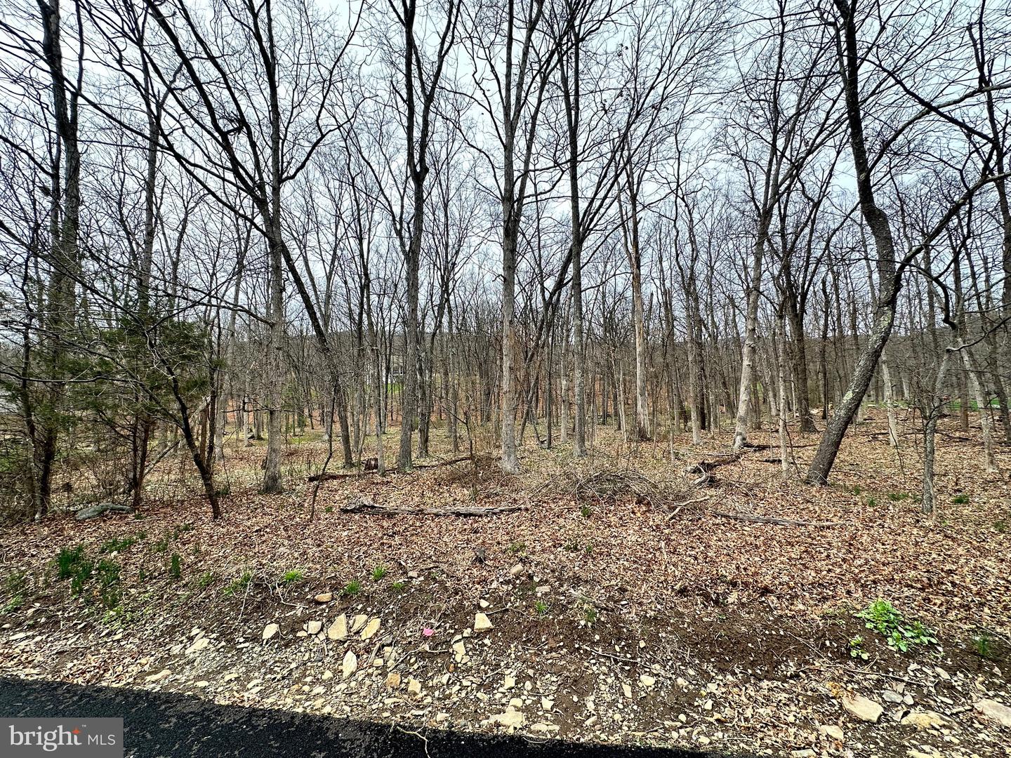 Timberlake Estates - Lot 24 Property Photo 13