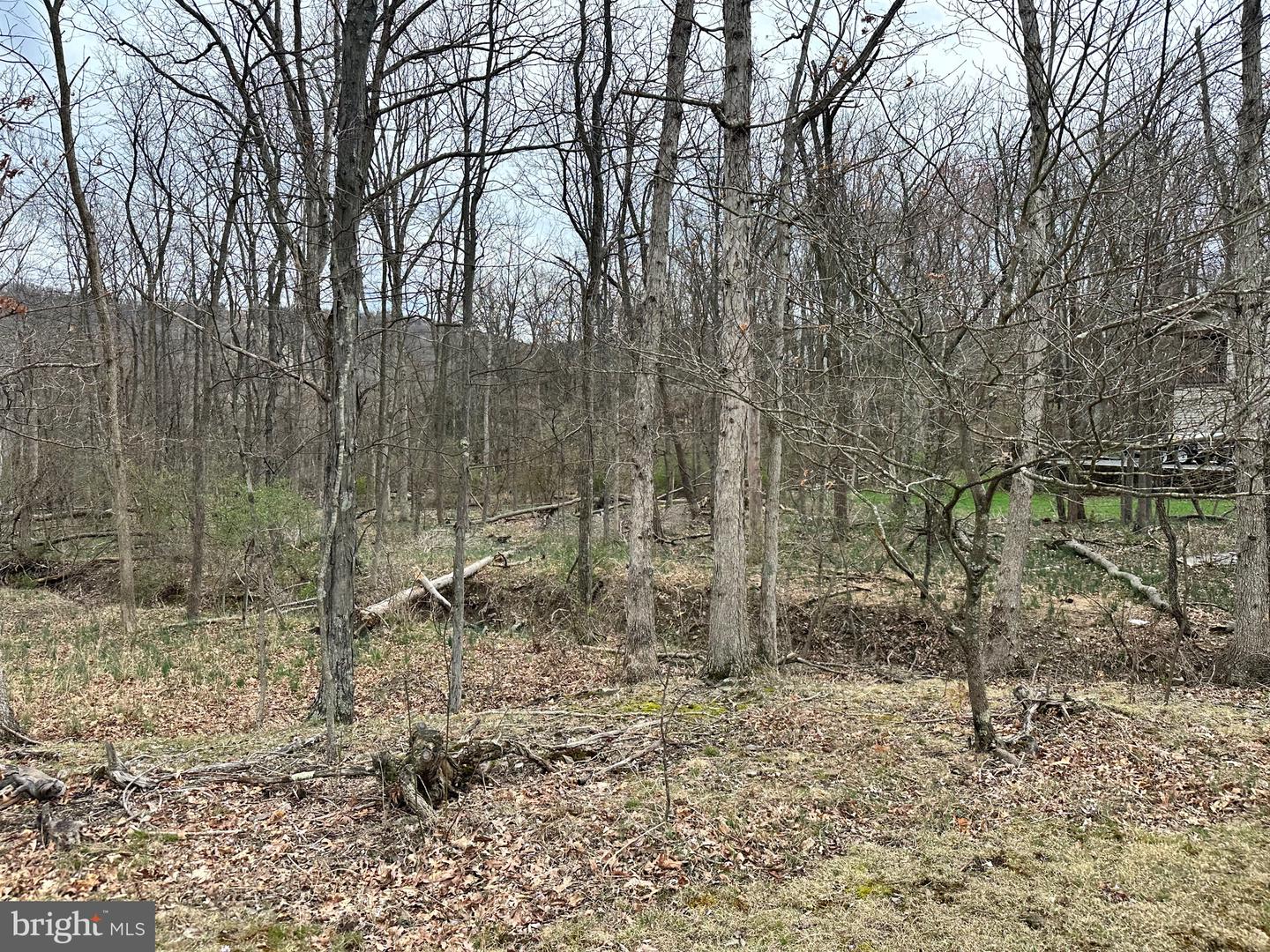 Timberlake Estates - Lot 24 Property Photo 14