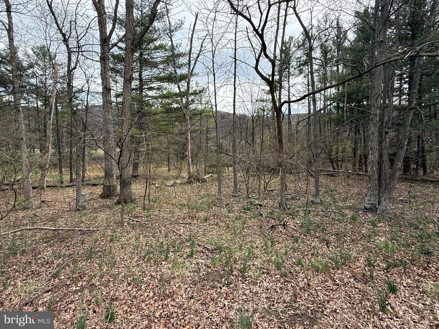 Timberlake Estates - Lot 4 Property Photo 1