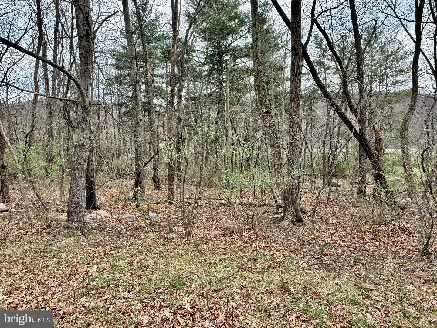 Timberlake Estates - Lot 5 Property Photo 4