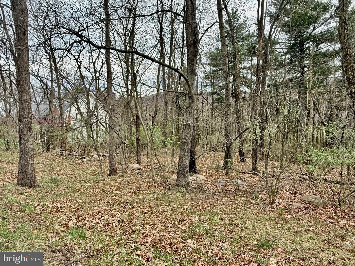 Timberlake Estates - Lot 6 Property Photo 1