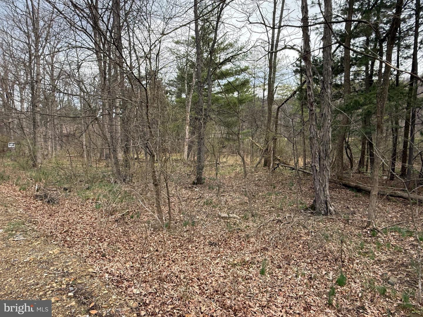 Timberlake Estates - Lot 6 Property Photo 2