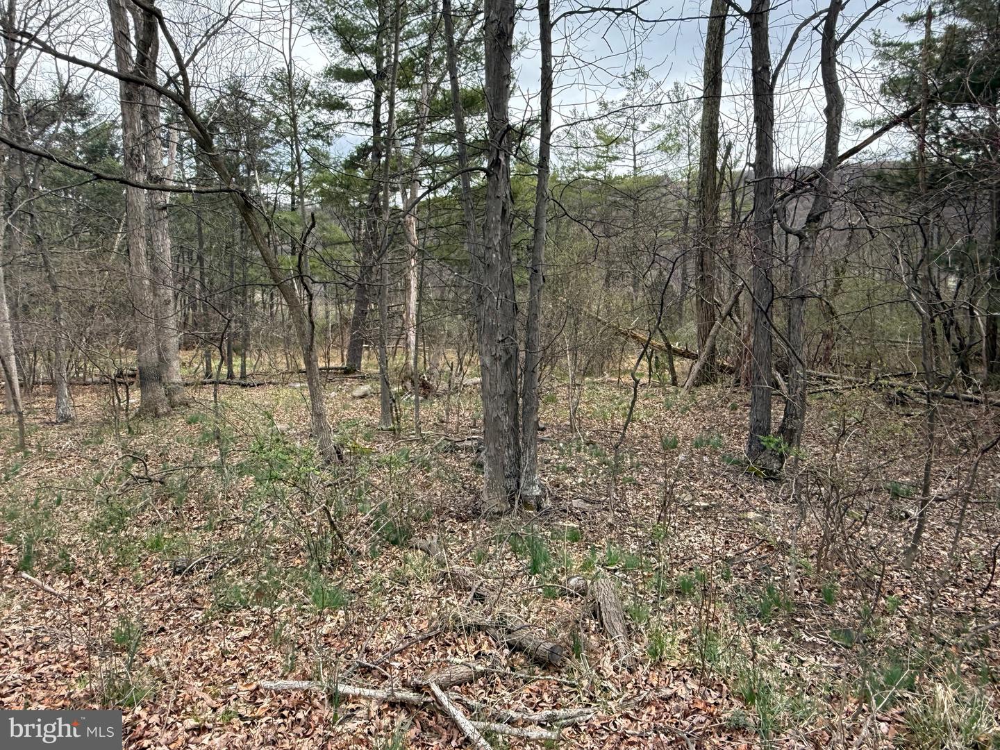 Timberlake Estates - Lot 6 Property Photo 3