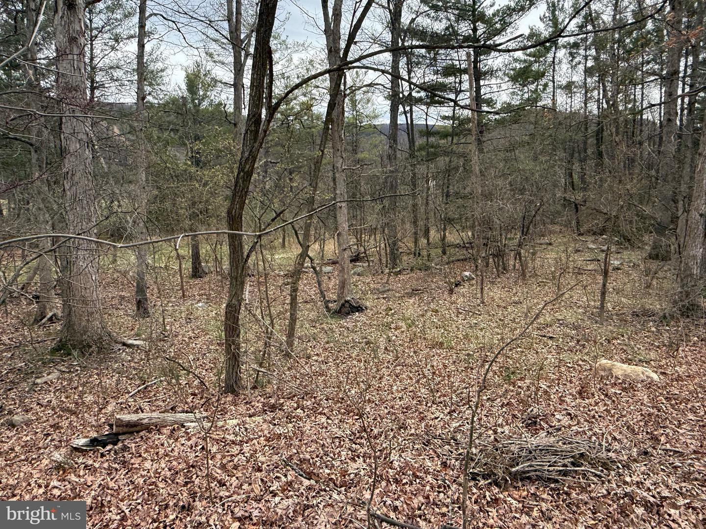 Timberlake Estates - Lot 6 Property Photo 4