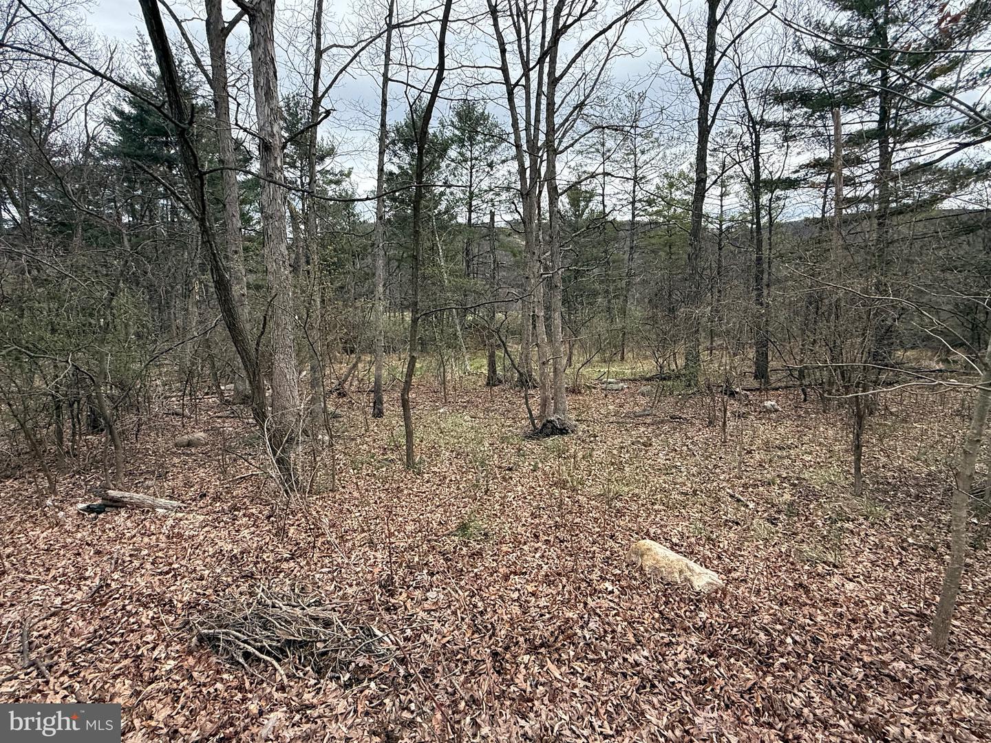 Timberlake Estates - Lot 6 Property Photo 5