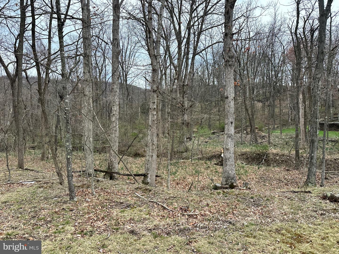 Timberlake Estates - Lot 27 Property Photo 3