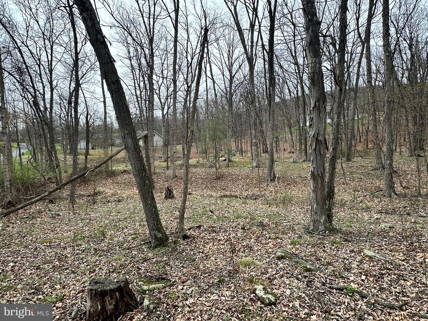 Timberlake Estates - Lot 27 Property Photo 9