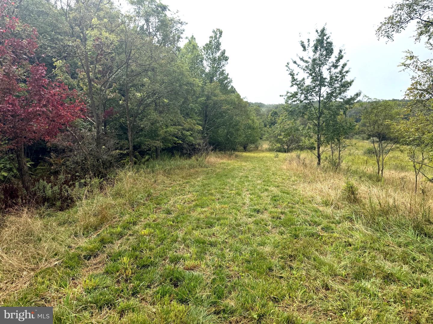 0 Pinnacle Road Property Photo 1