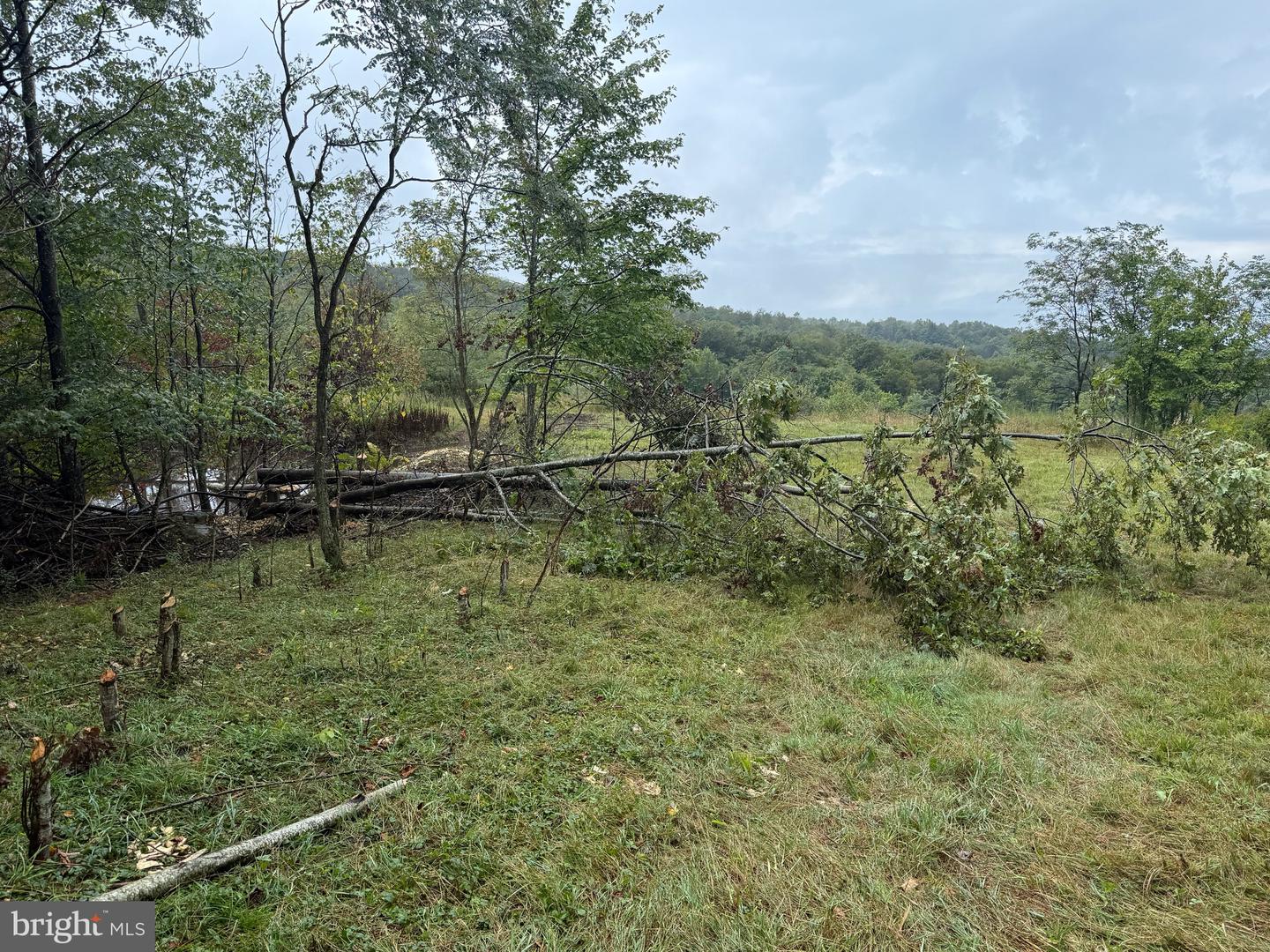 0 Pinnacle Road Property Photo 4