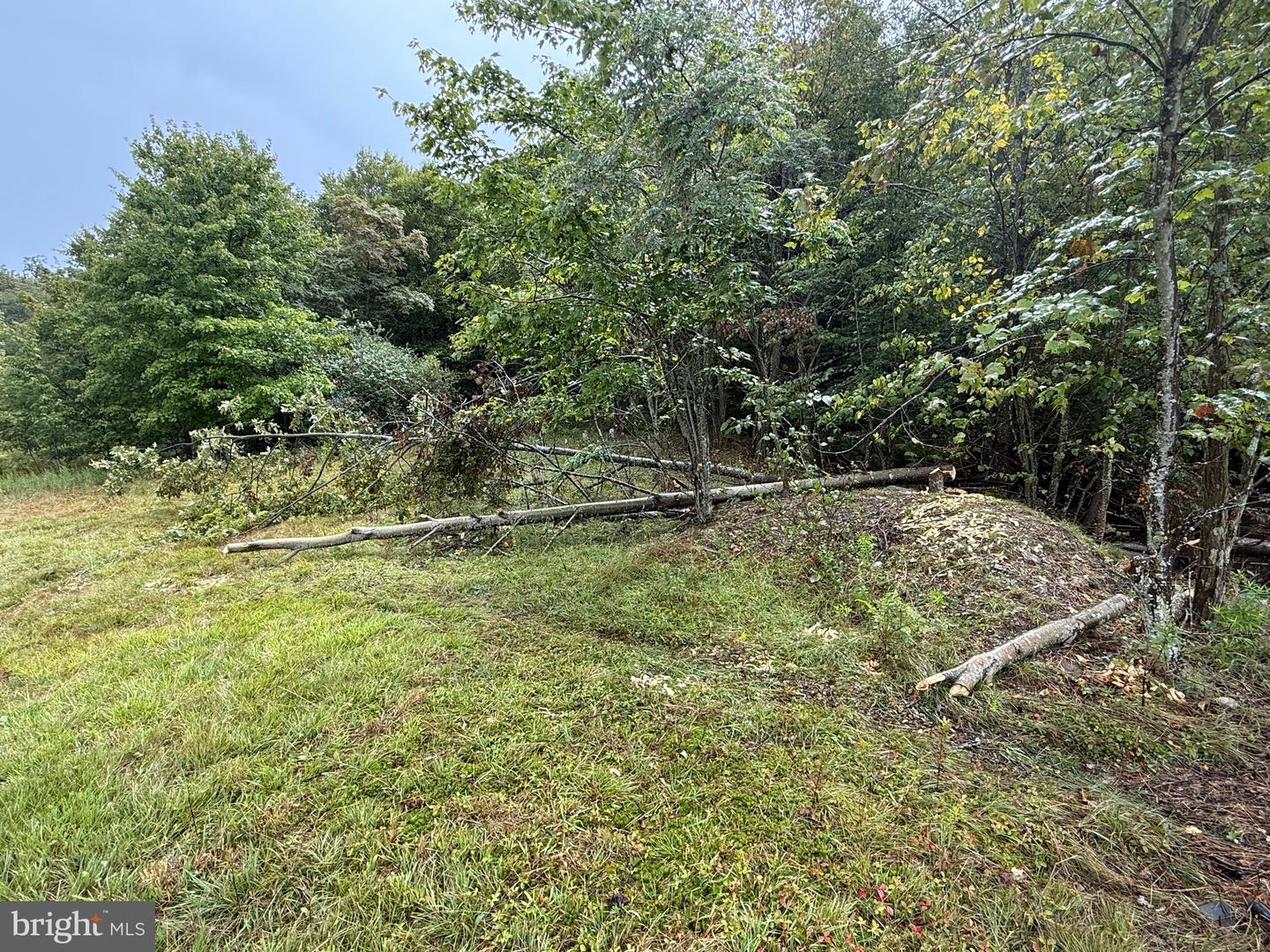 0 Pinnacle Road Property Photo 6