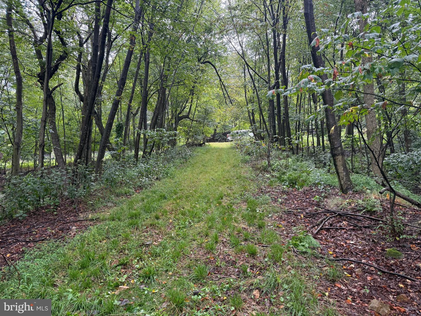 0 Pinnacle Road Property Photo 13