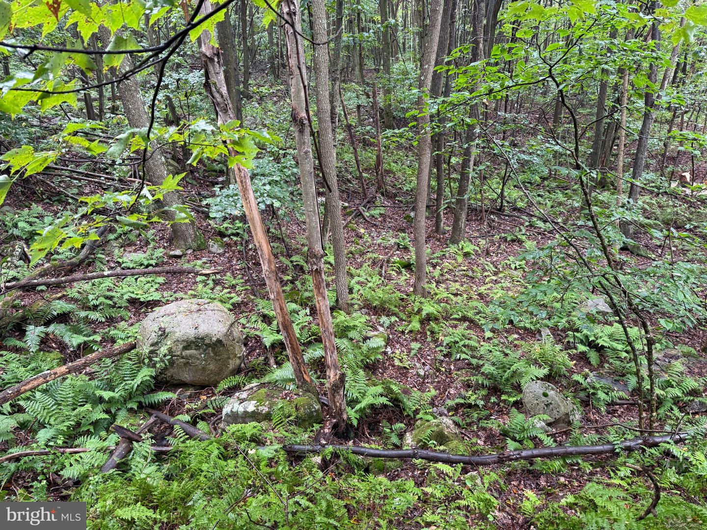 0 Pinnacle Road Property Photo 14