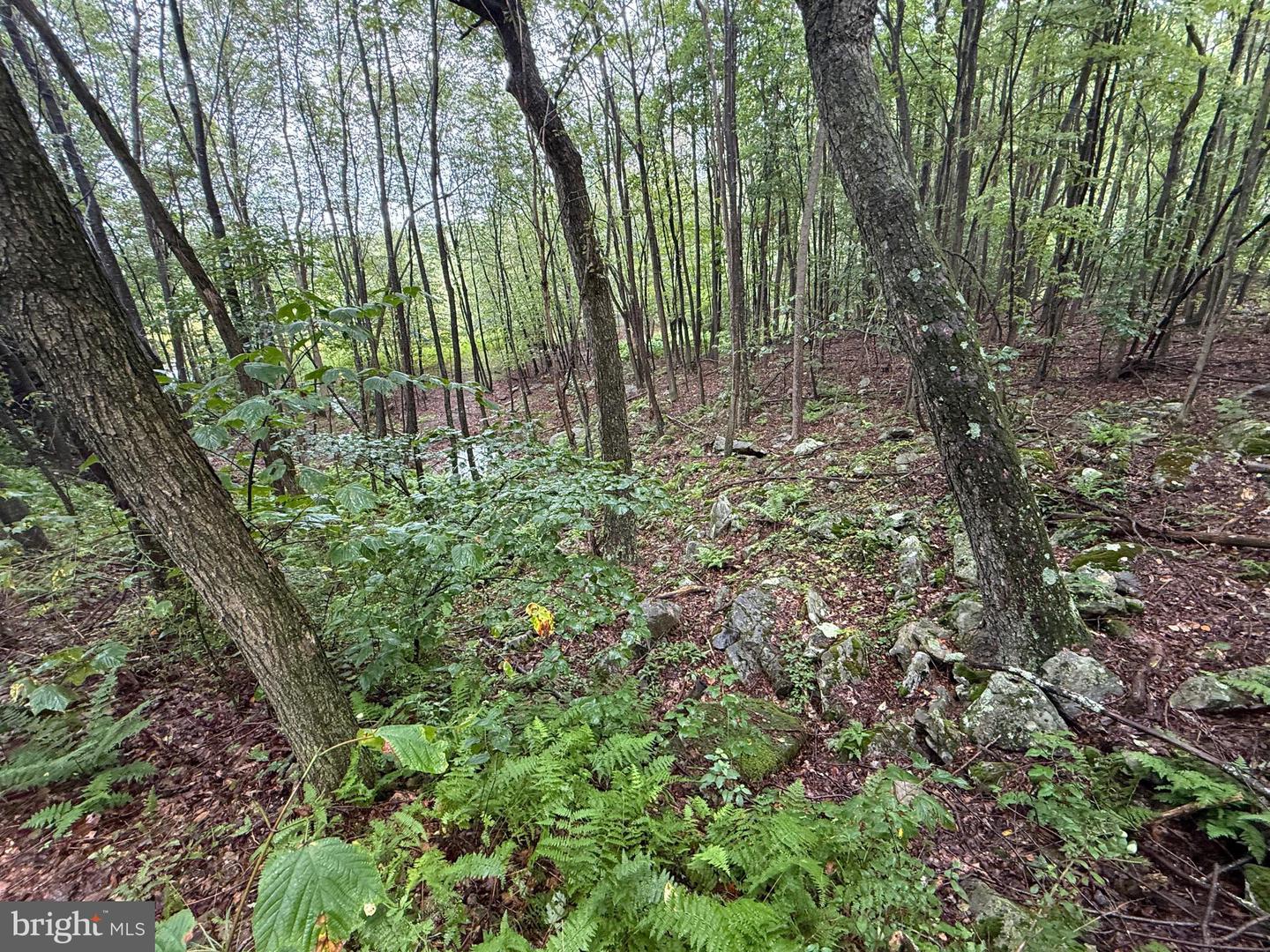 0 Pinnacle Road Property Photo 15