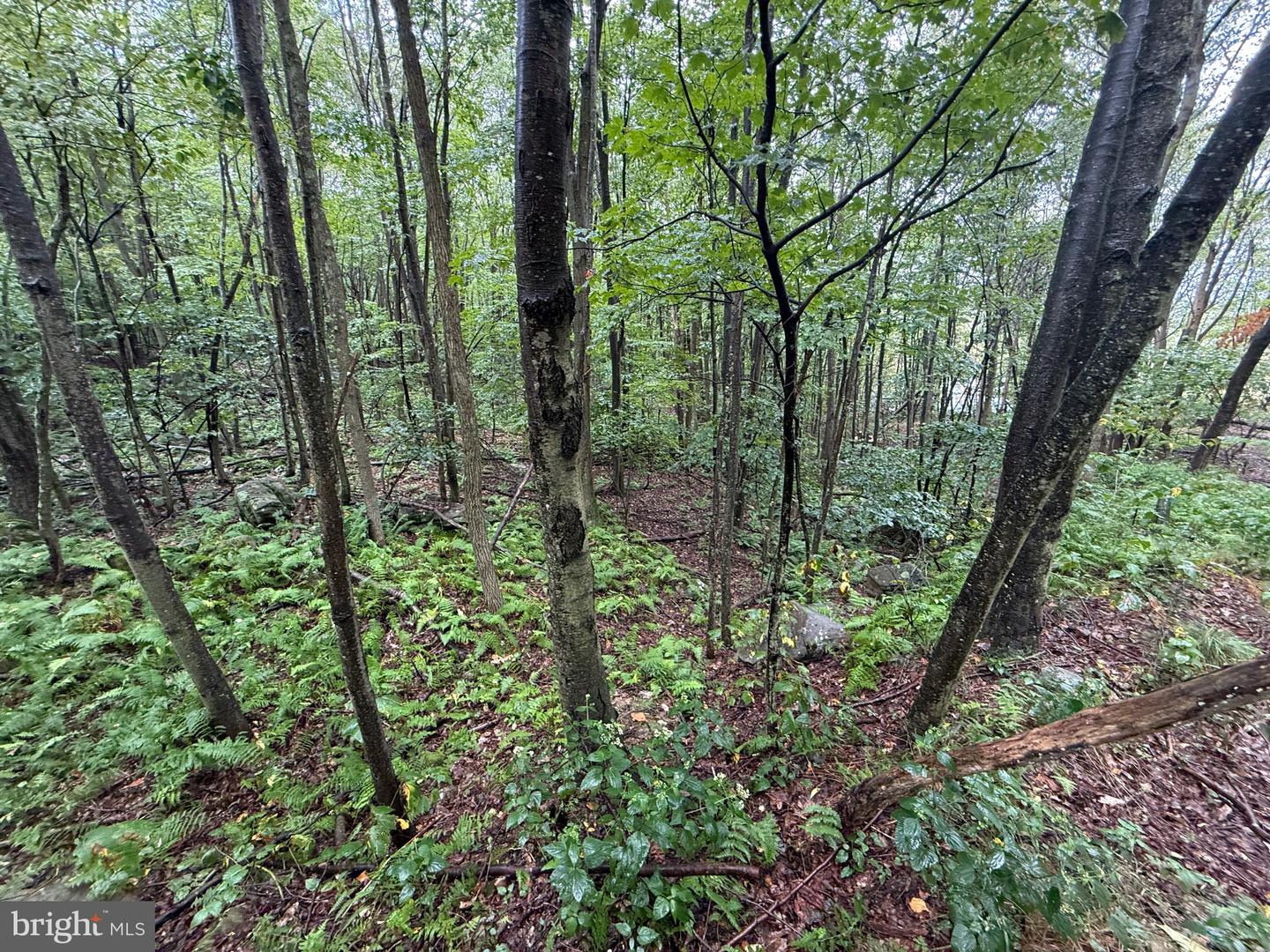 0 Pinnacle Road Property Photo 16