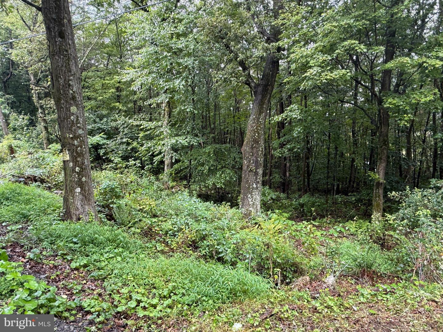 0 Pinnacle Road Property Photo 17