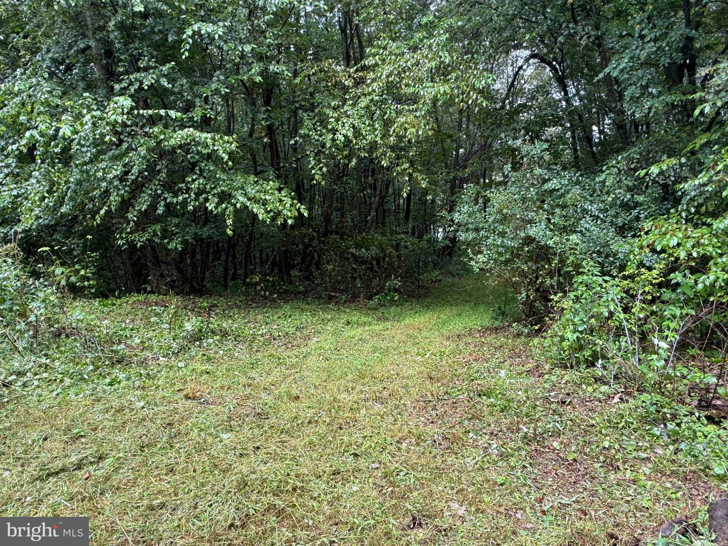 0 Pinnacle Road Property Photo 18