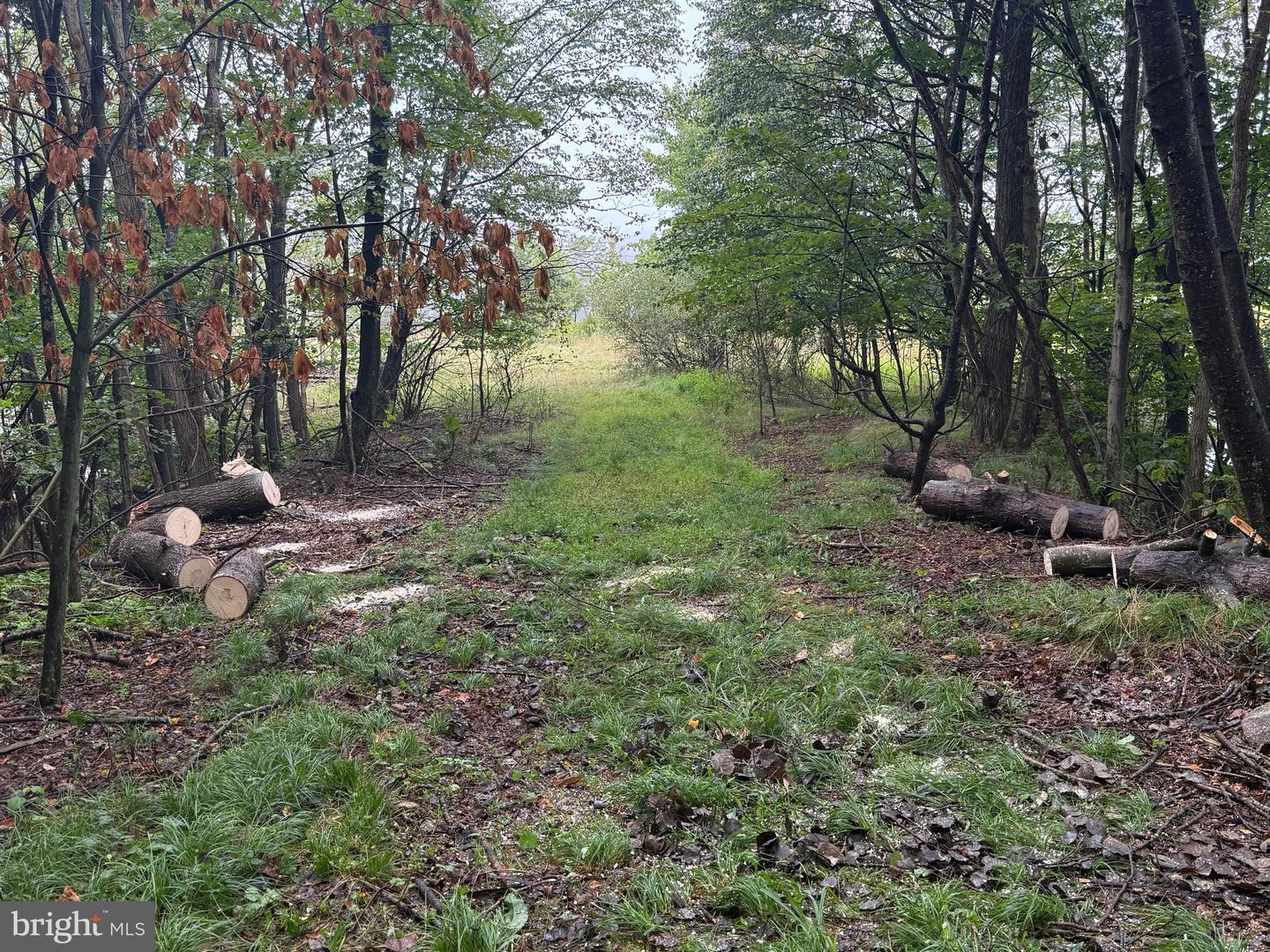 0 Pinnacle Road Property Photo 30