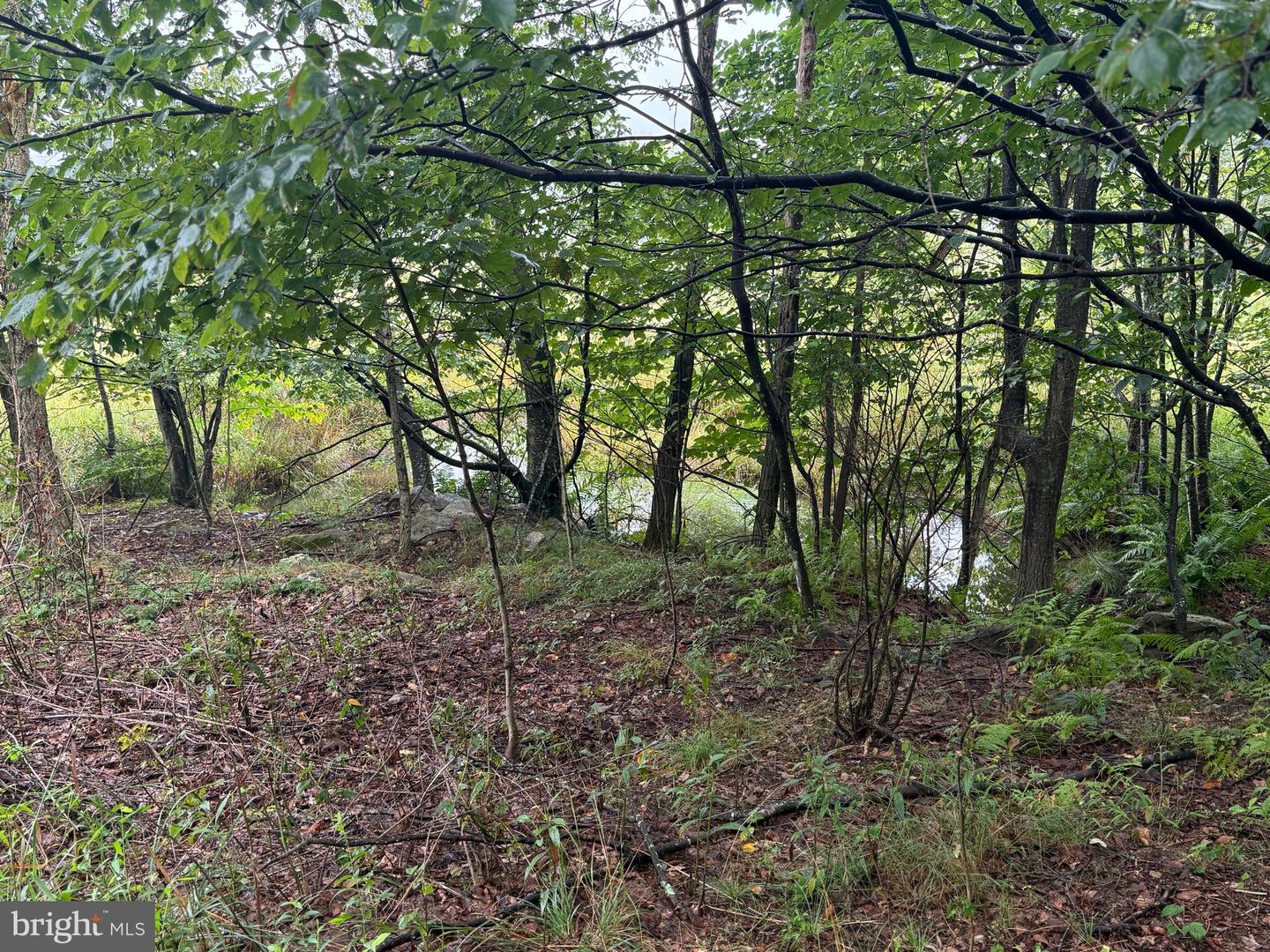 0 Pinnacle Road Property Photo 32